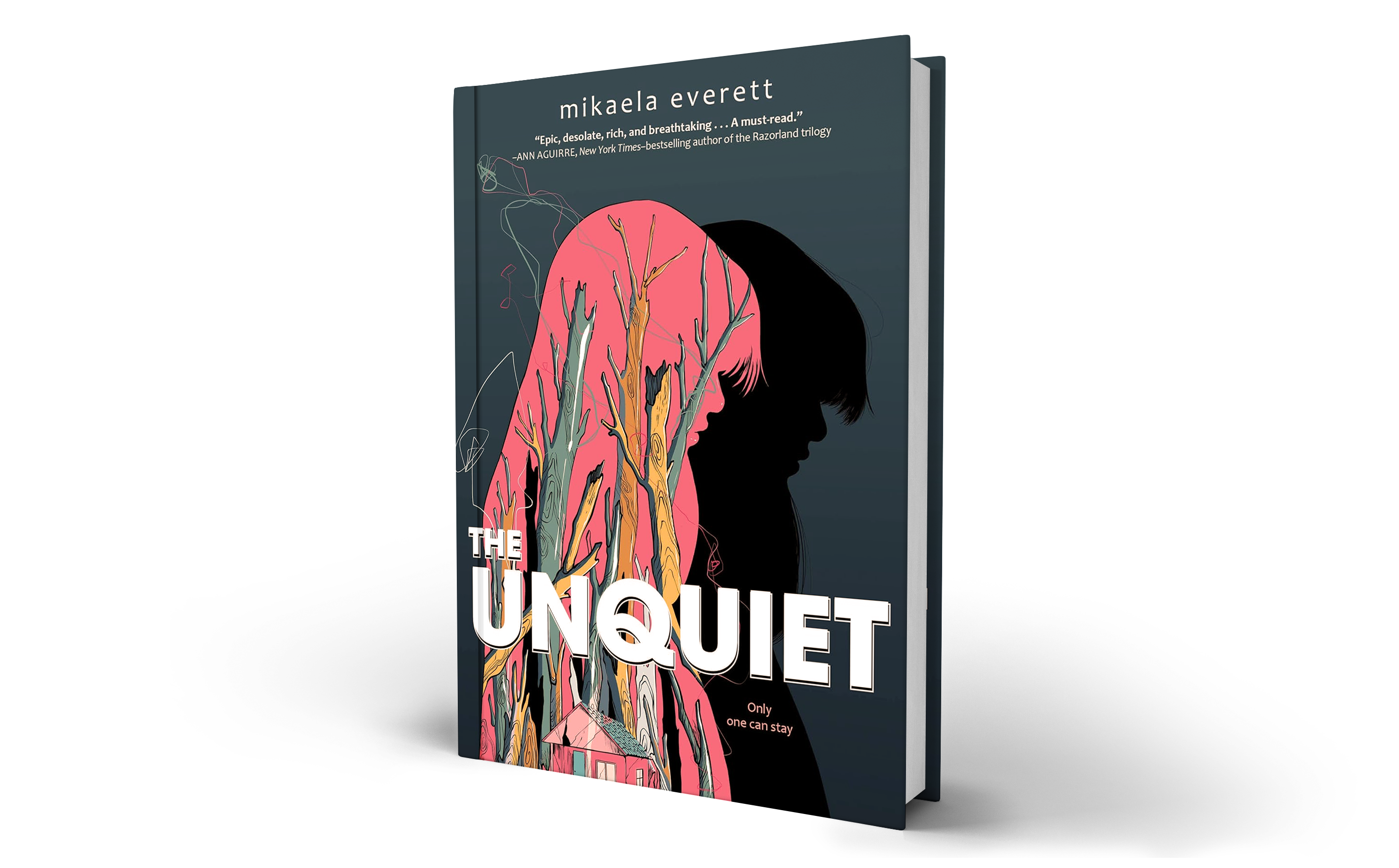 the unquiet cover